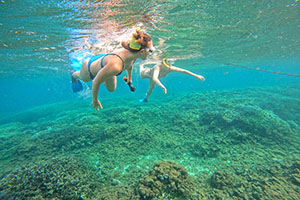 Scuba Diving at Pigeon Island, Trincomalee